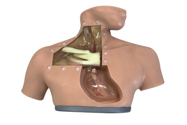 高级肠外营养护理模型（中心静脉置管术训练模型）