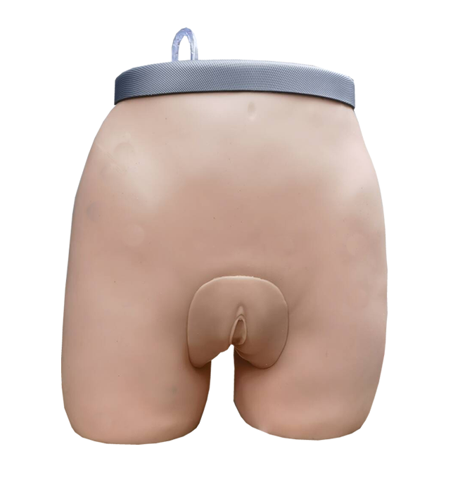 高级羊膜腔穿刺模型