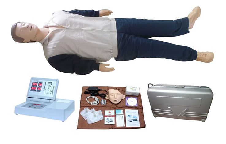 心肺复苏假人 人工急救模拟人--上海中弘科教公司