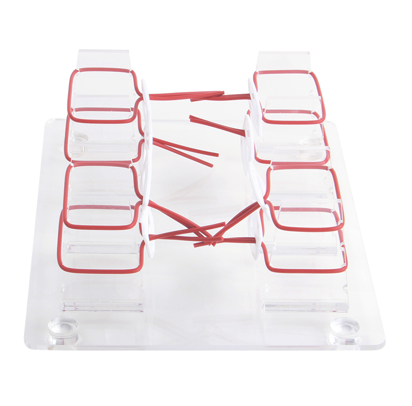 高级浅表打结技能训练模型