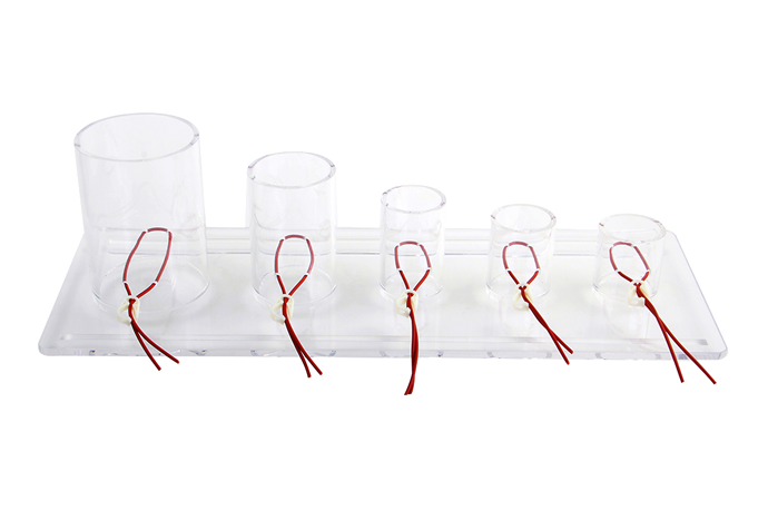 高级深部张力打结技能训练模型